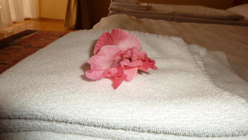 Hotel Banderium Komarno Room photo